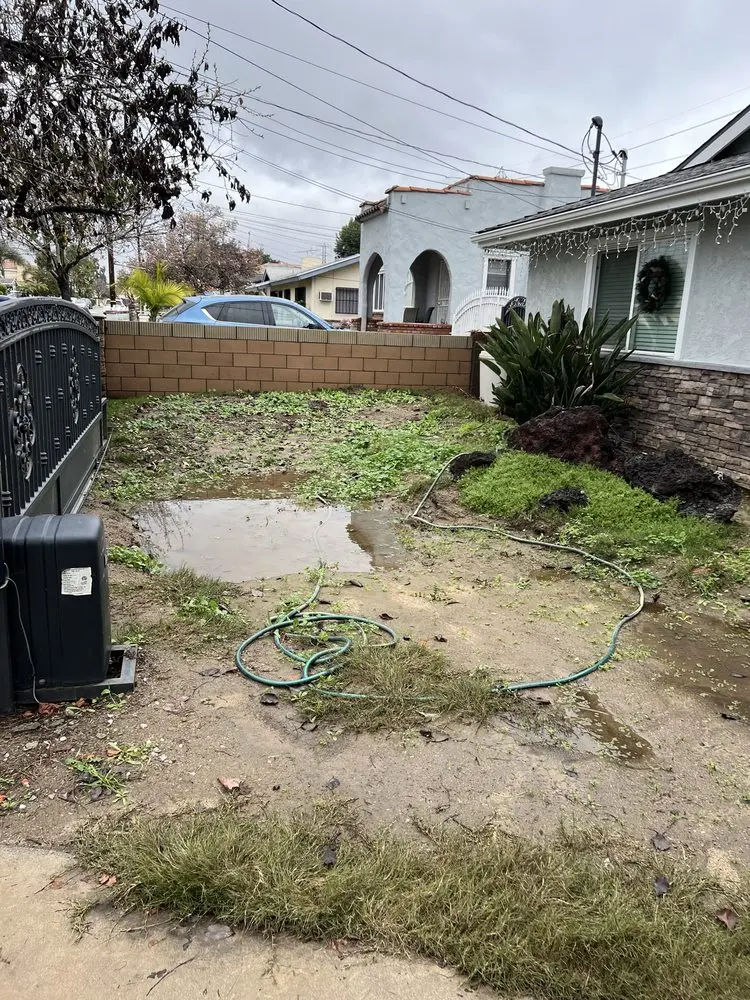 Backyard site before construction